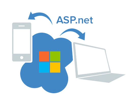 asp.net solutions experts